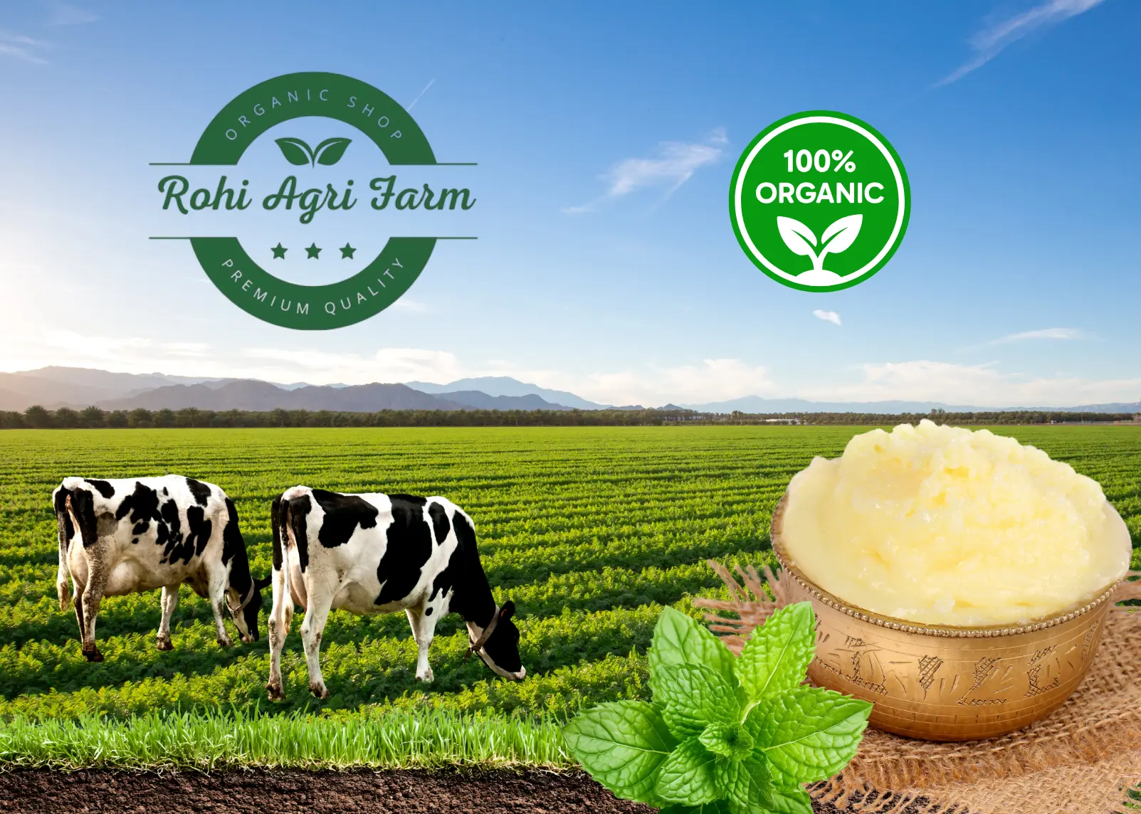 Rohi Agri Farm Hero image